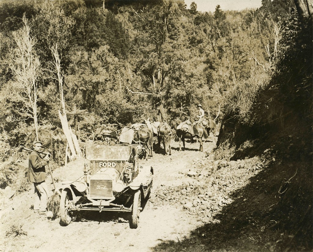 p62 transport in Waitewhena .JPG